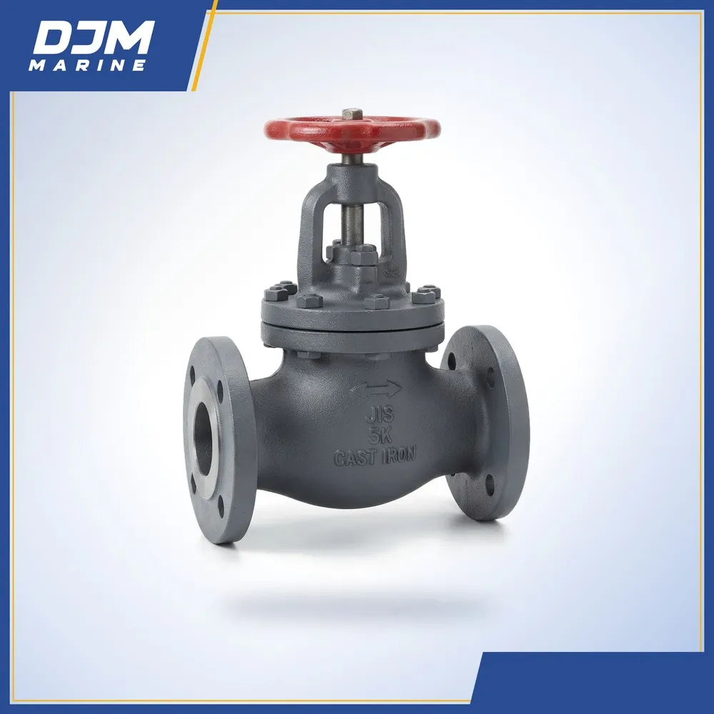 Cast Iron Screw-Down Check Globe/Angle Valves